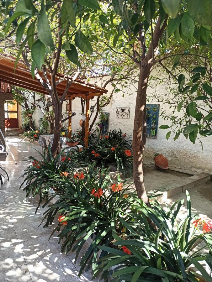 Aegina Town Traditional Lemon House Exteriör bild